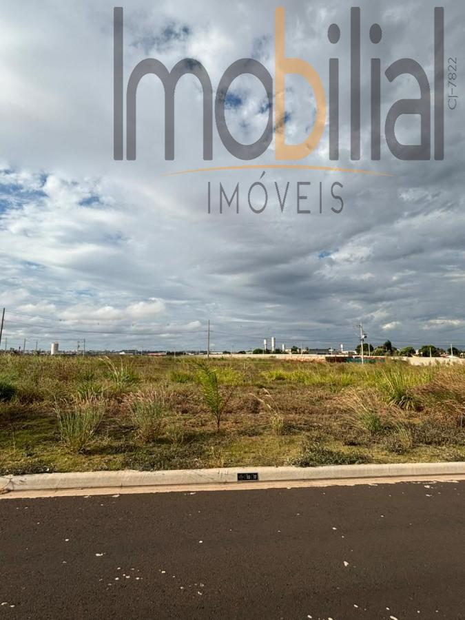 imagem-miniatura