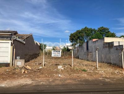 Lote para Venda, em Rio Verde, bairro GAMELEIRA 2